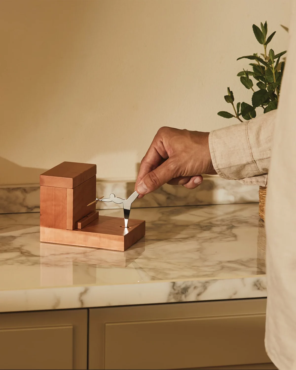 Acchiappastuzzicadenti - immagine 2