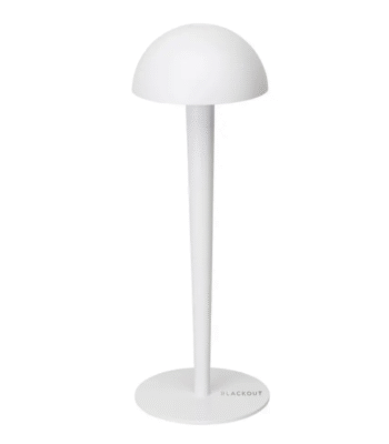 10020011 e1755081529582