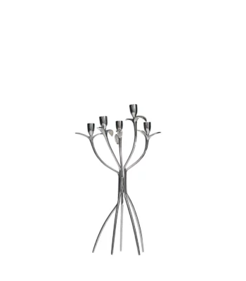 antonietta ds050b7008116 still 2