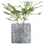 ALESSI Coprivaso "NUVEM"