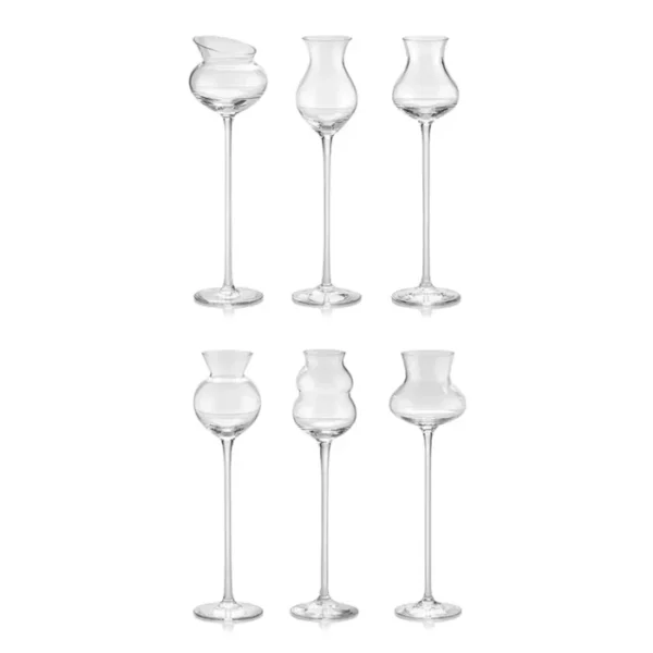 IVV Set 6 calici assortiti "I Distillati"