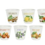 LA PORCELLANA BIANCA Set 6 bicchierini "Liquorelli" assortiti